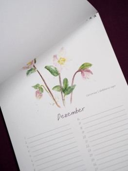 Immerwährender Blühkalender